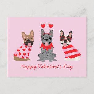 Happy Valentines Day French Bulldogs Postcard