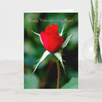 Happy Valentine's Day Friend Holiday Card