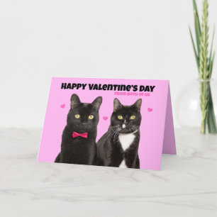 Happy Valentine's Day From Both of Us Cute Cats on Holiday Card