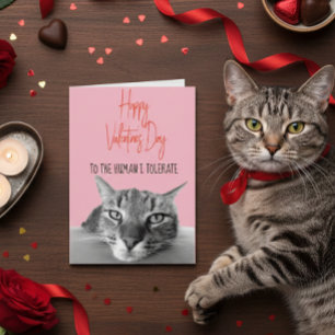 Happy Valentine's Day From Cat To Human Funny Card