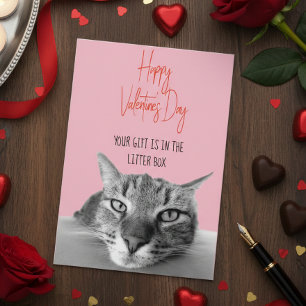 Happy Valentine's Day From Cat To Human Funny Card