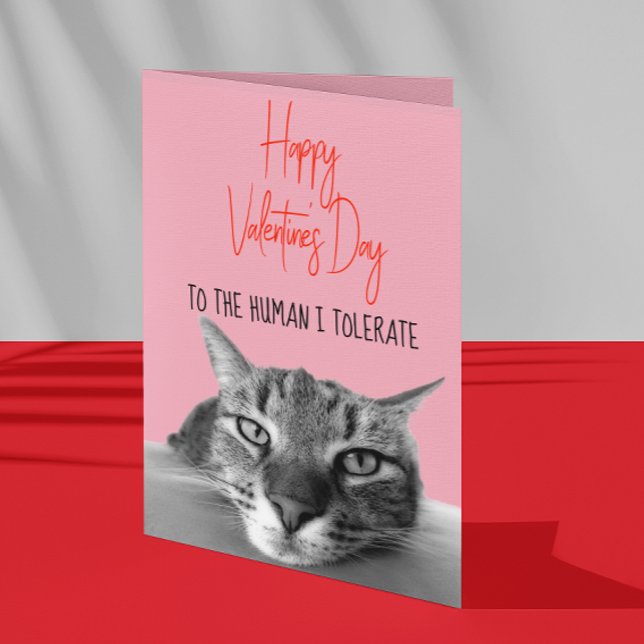 Happy Valentine's Day From Cat To Human  Funny Card (Creator Uploaded)