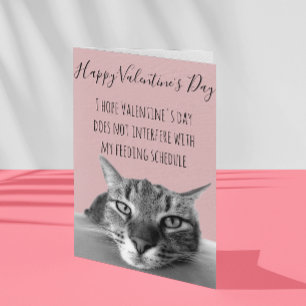 Happy Valentine's Day From Cat To Human Humor Card