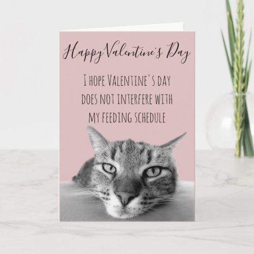 Happy Valentines Day From Cat To Human Humor Card