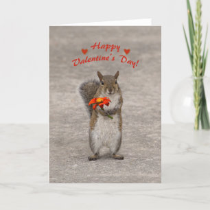 Happy Valentines Day from cute Squirrel Holiday Card