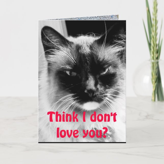 Happy Valentine's Day from the Cat Humor Holiday Card (Front)