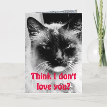 Happy Valentine's Day From The Cat Humor Holiday Card by Rebecca_Reeder at Zazzle