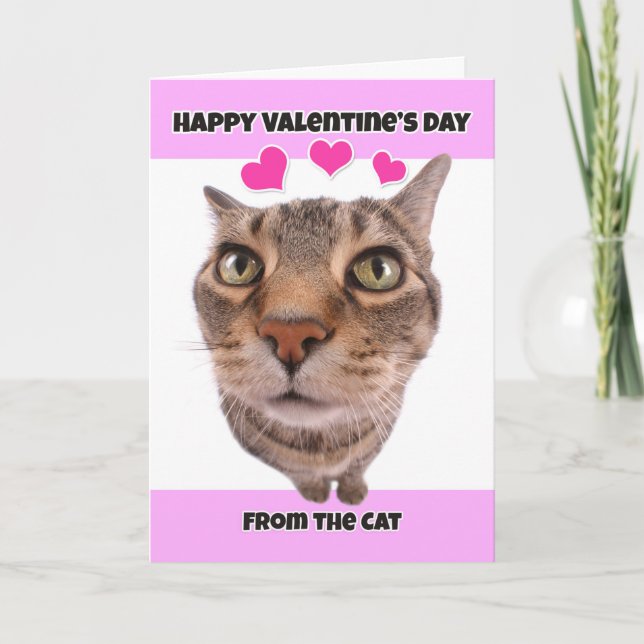 Happy Valentine's Day from the Cat Humor Holiday Card (Front)