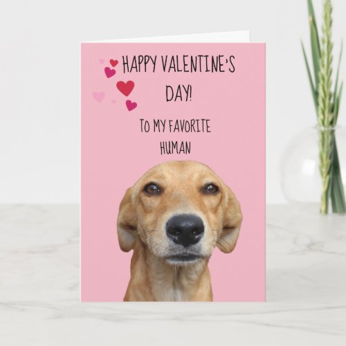 Happy Valentines Day From The Dog Card