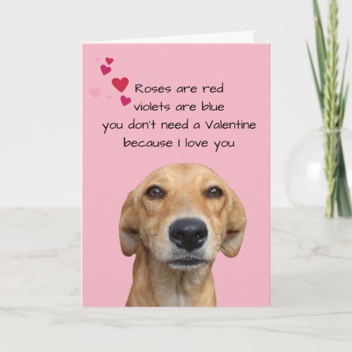 Happy Valentines Day From The Dog Lover Card