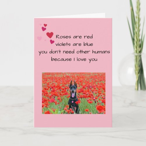 Happy Valentines Day From The Dog Lover Photo Card
