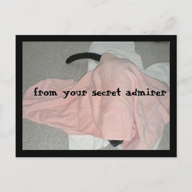 Happy Valentine's Day from the Pet Holiday Postcard (Front)