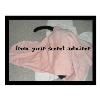 s day secret admirer cards secret admirer cards greeting photo cards zazzle s day secret admirer cards secret admirer cards greeting photo cards zazzle
