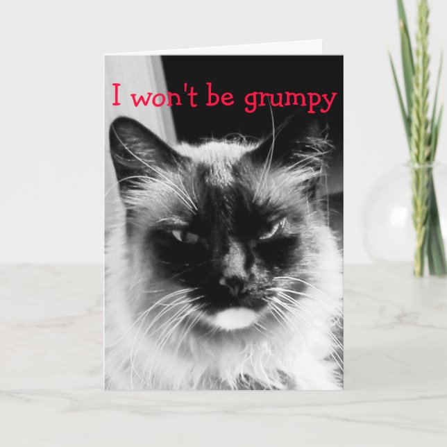 Happy Valentine's Day Frowning Cat Holiday Card (Front)