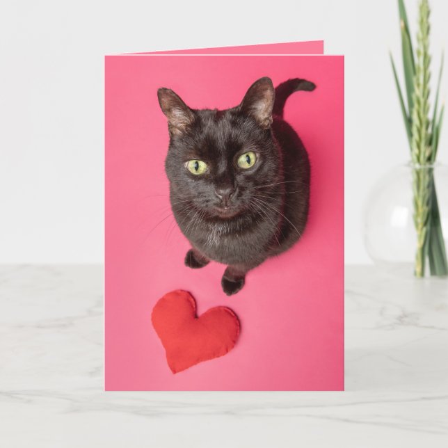 Happy Valentines Day Funny Cat With Toy Heart Holiday Card (Front)