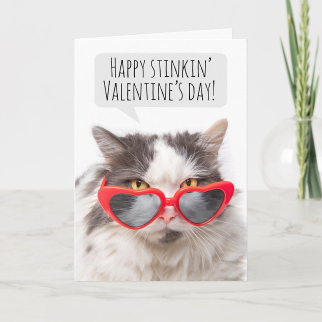 Happy Valentine's Day Funny Sarcastic Cat Holiday Card (Front)