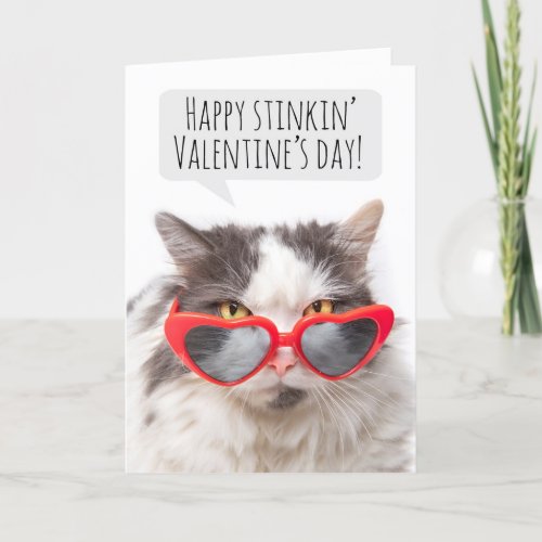Happy Valentines Day Funny Sarcastic Cat Holiday Card