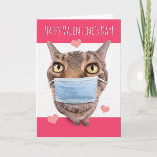 Happy Valentine's Day Funny Tabby Cat in Face Mask Holiday Card (Front)