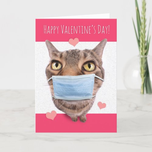 Happy Valentines Day Funny Tabby Cat in Face Mask Holiday Card