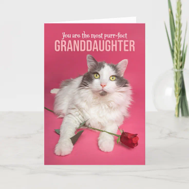 Happy Valentines Day Granddaughter Cute Cat Holiday Card | Zazzle