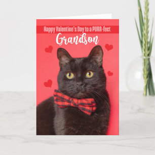 Happy Valentine's Day Grandson Cute Cat in Bow Tie Holiday Card