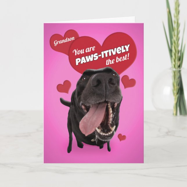 Happy Valentine's Day Grandson Funny Dog Humor Holiday Card (Front)