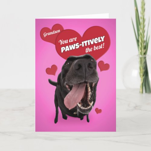 Happy Valentines Day Grandson Funny Dog Humor Holiday Card