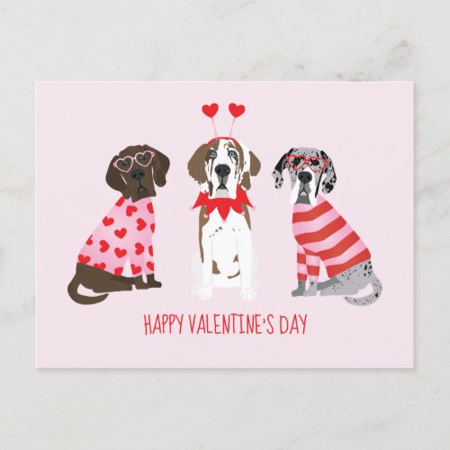 Happy Valentines Day Great Dane Dogs Postcard