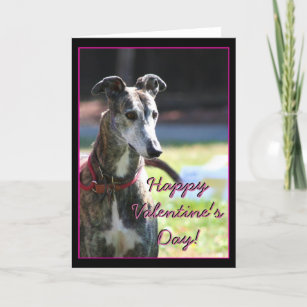 Happy Valentine's Day Greyhound greeting card