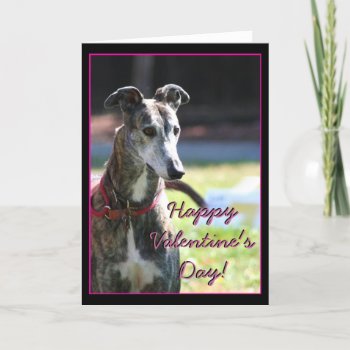 Happy Valentine's Day Greyhound Greeting Card by ritmoboxer at Zazzle