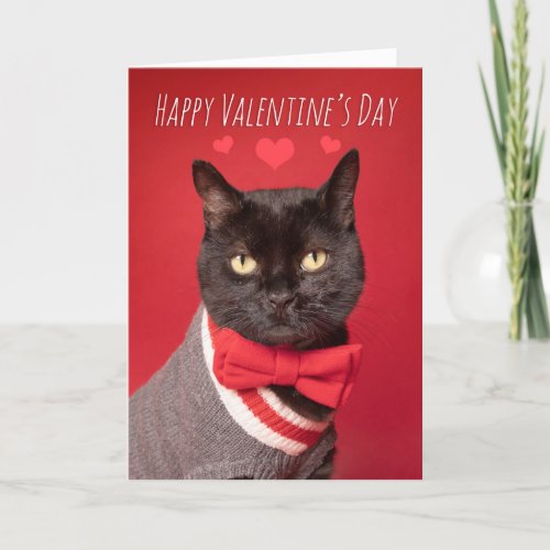 Happy Valentines Day Handsome Black Cat Bow Tie Holiday Card