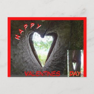 Happy Valentines Day Heart in Tree Postcard