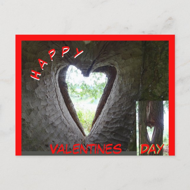 Happy Valentines Day Heart in Tree Postcard (Front)