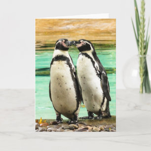 Happy Valentine's Day Holiday Card