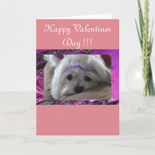 Happy Valentines Day Holiday Card (Front)