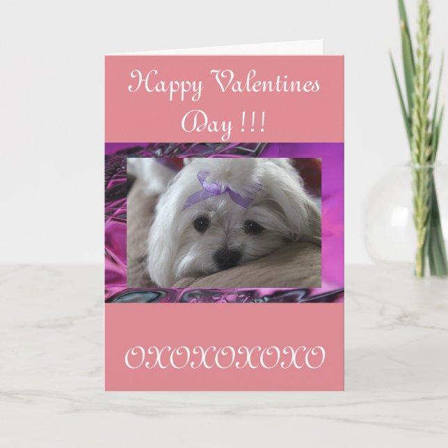 Happy Valentines Day Holiday Card (Front)