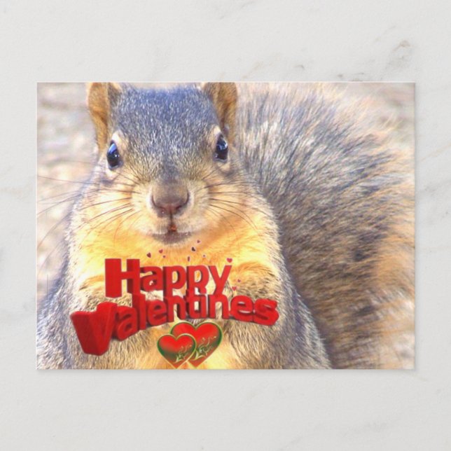 Happy Valentines Day_ Holiday Postcard (Front)