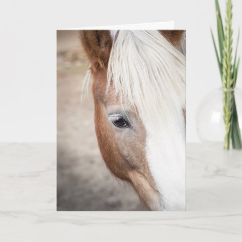 Happy Valentines Day  Horse Face  Add Your Name Thank You Card