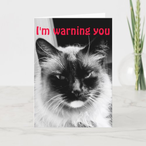 Happy Valentines Day Humor Holiday Card