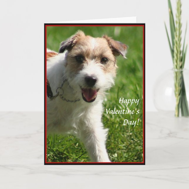Happy Valentine's day Jack Russell Terrier card (Front)