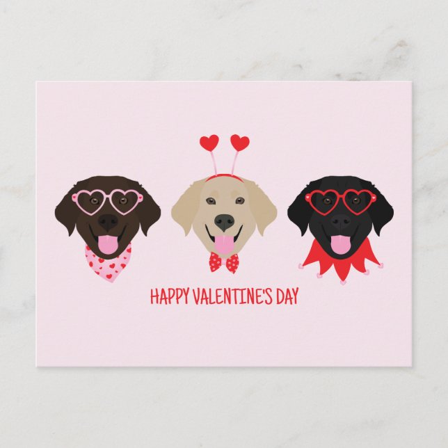 Happy Valentines Day Labrador Retriever Dogs Postcard (Front)