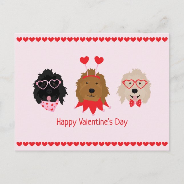 Happy Valentines Day Mini Goldendoodle Dogs Postcard (Front)