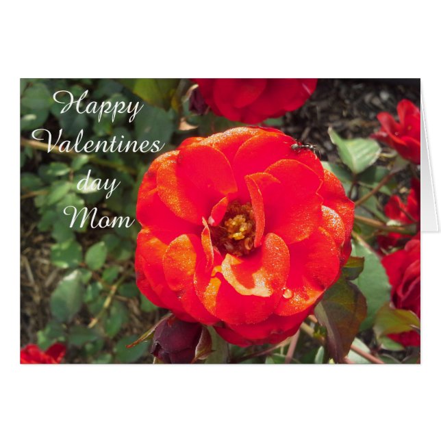 HAPPY VALENTINES DAY MOM card (Front Horizontal)