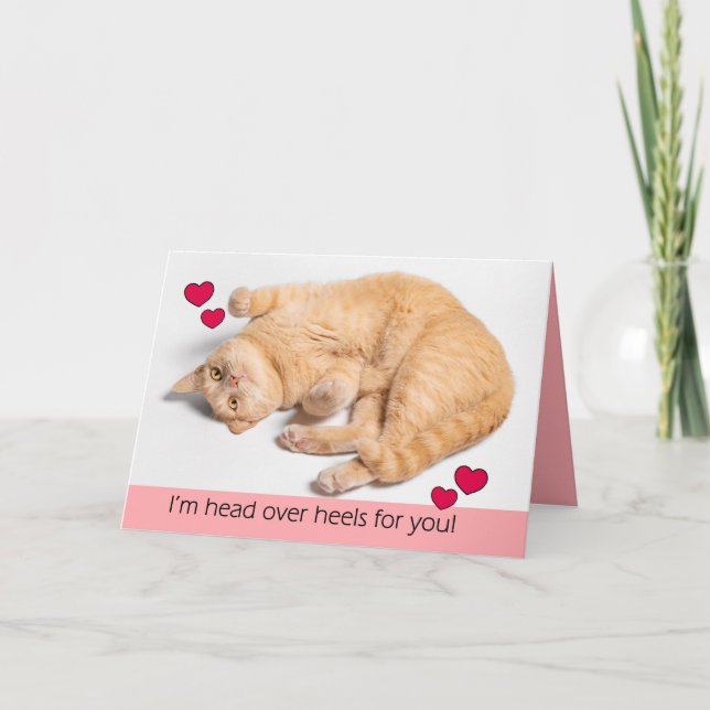 Happy Valentines Day Orange Tabby Cat  Holiday Card (Front)