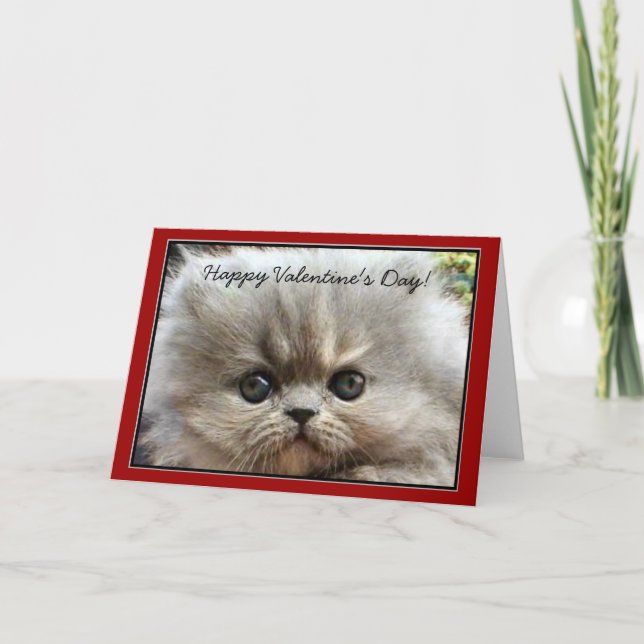 Happy Valentine's Day Persian Kitten greeting card (Front)
