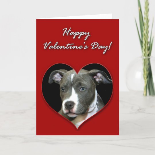 happy-valentines-day-pitbull-puppy-card-zazzle