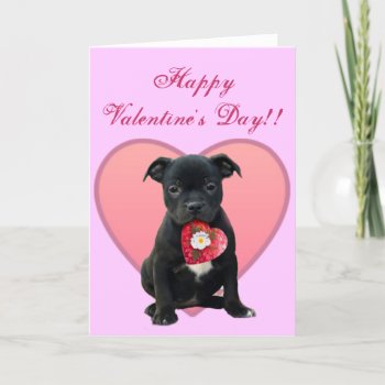 Happy Valentine's Day Pitbull Puppy Greeting Card by ritmoboxer at Zazzle