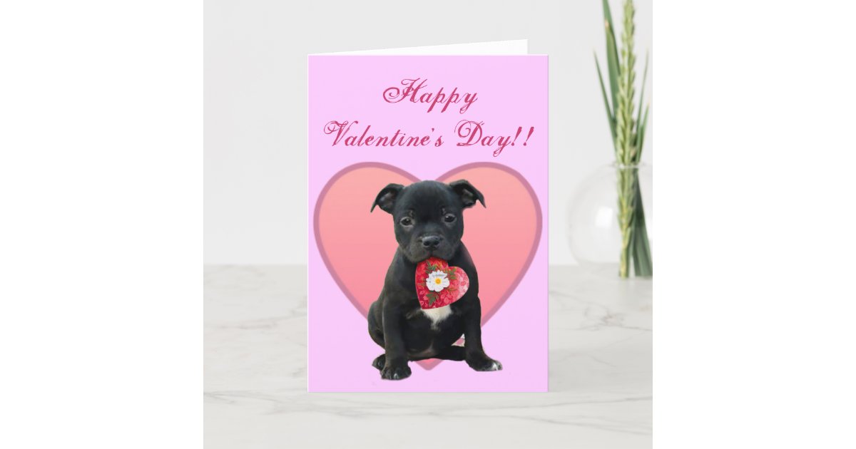 Happy Valentine's Day Pitbull Puppy greeting card | Zazzle
