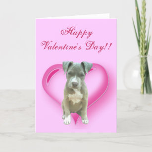 Pitbull Mug Cards Zazzle - 
