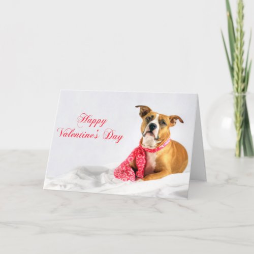 Happy Valentines Day Pitbull Puppy Holiday Card